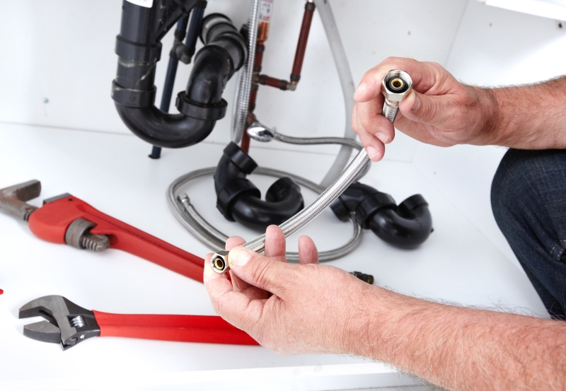 Toilet repair being carried out in Worcester Park